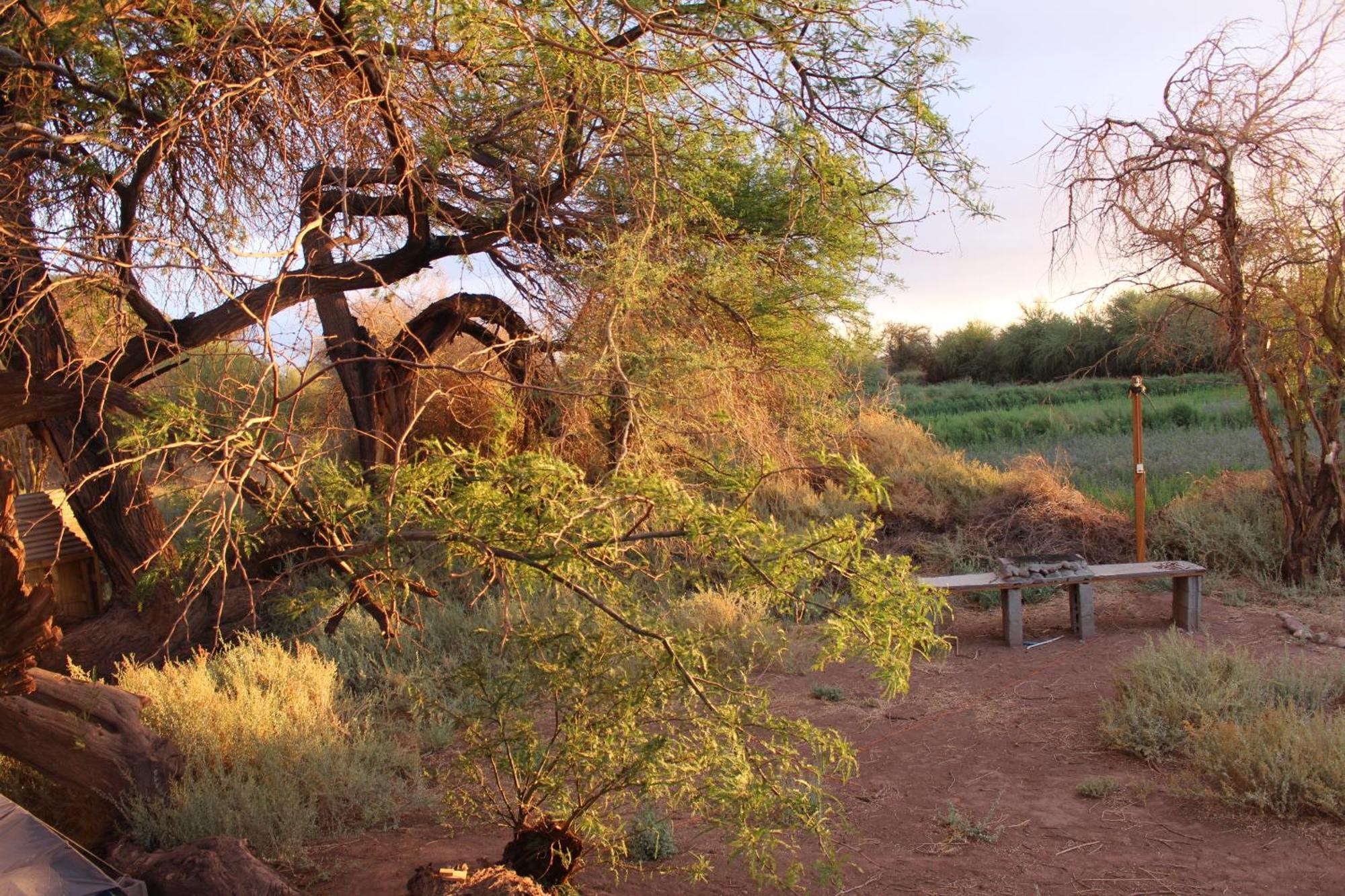 Cabana Nachitor San Pedro de Atacama Kültér fotó